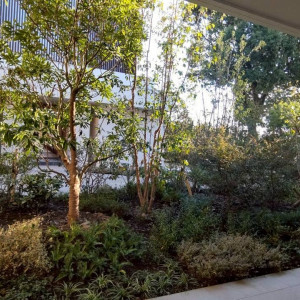 庭|785403さんのWeGreen RESORTの写真(2609906)