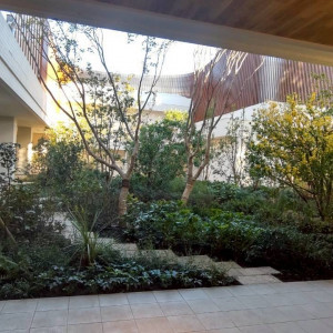 庭|785403さんのWeGreen RESORTの写真(2609907)