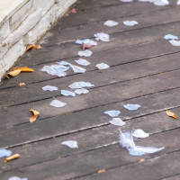 フラワーシャワー後です。