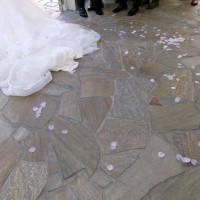 フラワーシャワー