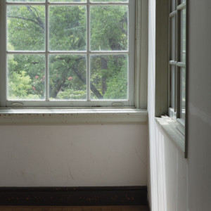 披露宴会場からの緑|785636さんの ティアラ ザ クラシック クラブ（登録有形文化財）の写真(2612408)