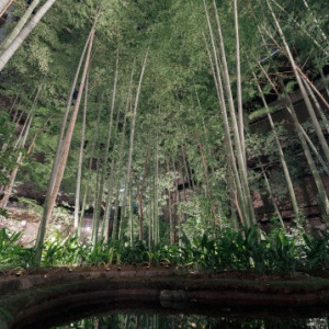 庭|785662さんのフォーチュンガーデン京都（FORTUNE GARDEN KYOTO）の写真(2614644)