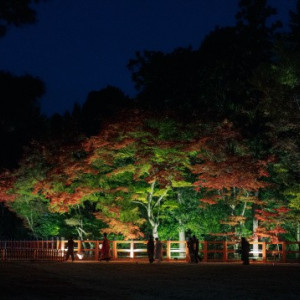 外観|785662さんの上賀茂神社の写真(2612287)