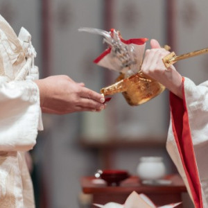 会場|785662さんの上賀茂神社の写真(2612269)