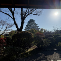 ゲストの待合室になる茶室からの眺望