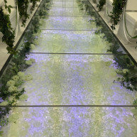 バージンロード