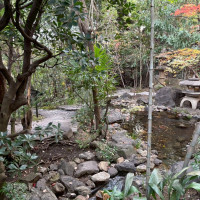 雰囲気のあるお庭