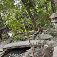 雰囲気のあるお庭