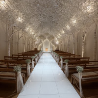 扉を開けると、白樺の木の温かく明るい雰囲気に包まれます。