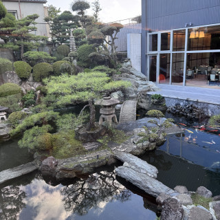 庭園の様子。鯉が池に泳いでいた。奥に見えるのが披露宴会場。