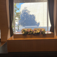 室内から見た景色です