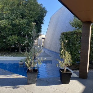 庭|785888さんのアクアデヴュー佐賀スィートテラスの写真(2614150)