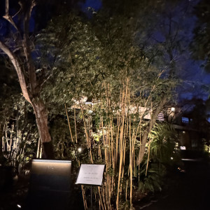 庭の景色|785896さんのTHE SODOH HIGASHIYAMA KYOTO（ザ ソウドウ 東山 京都）の写真(2614225)