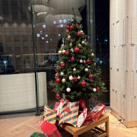 クリスマスツリーを持ち込んで会場を華やかにしました。