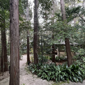 ガーデン|786002さんのTHE NANZAN HOUSE （ザ ナンザン ハウス）の写真(2615053)