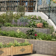 披露宴には階段があります。