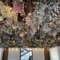 チャペル天井のドライフラワー