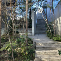 アプローチも清掃が綺麗にされていた。