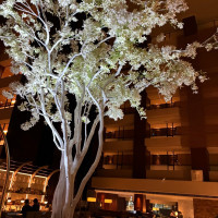 夜になると照明が暗くなります