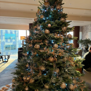 クリスマスはロビーにツリーがあります|786059さんのストリングスホテル東京インターコンチネンタルの写真(2615187)