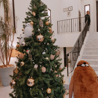 クリスマスの時期なので無料でツリーを置いてくれました