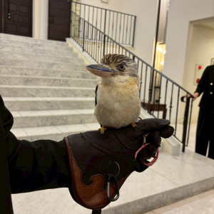 リングバード演出を業者に頼みました|786150さんの茅ヶ崎迎賓館/テイクアンドギヴ・ニーズウェディングの写真(2615786)