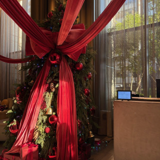 クリスマス時期だったのでクリスマスツリーが飾ってあった