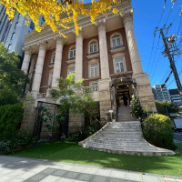 12月ですが、イチョウの紅葉もクリスマスツリーも楽しめました