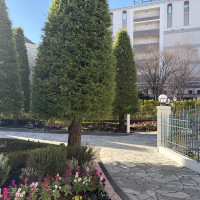 入り口付近からは商業施設が見えます