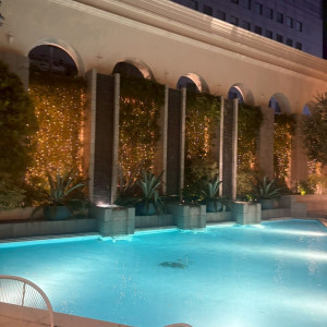 景色がよく写真映えするガーデン|786918さんのベイサイド迎賓館（神戸）/テイクアンドギヴ・ニーズウェディングの写真(2619578)