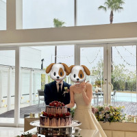 見た目に引かれたチョコと苺のケーキ