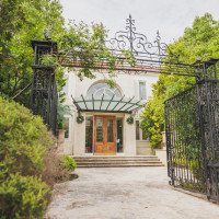 緑が多くて綺麗な会場です