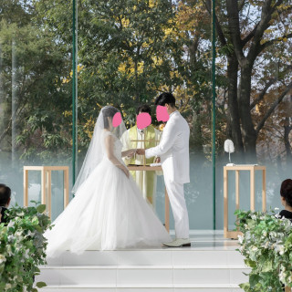 壇上は緑豊か、自然光たくさんでとても素敵な雰囲気