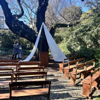 ガーデンで挙式する場合には大きな桜の木の下で行います。