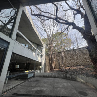 ブーケトスなどをする場所です