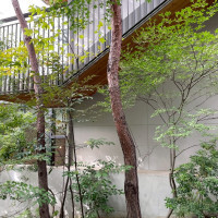 庭には木がいっぱい