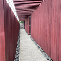 入り口入って参道のようなところ