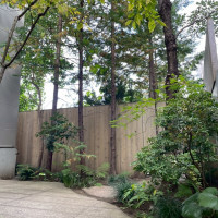 庭には木がいっぱい