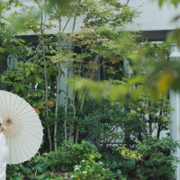 チャペル外には緑が美しいです