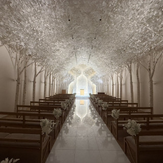 感動します！実際に観に行くのおすすめです！