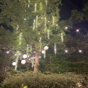 夜雰囲気|787881さんのベルクラシック神戸の写真(2622847)