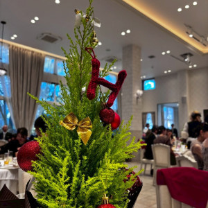 クリスマスが近かったので、お花？がクリスマスツリーでした|788111さんの南蔵王・聖ペトロ教会の写真(2623789)