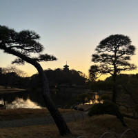 夕日のシルエット