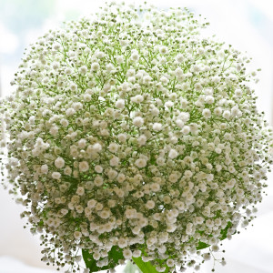 ブーケは霞草|788344さんのザ コンチネンタル横浜の写真(2625029)