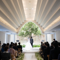 ナイスですねぇ