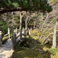 日本風の橋あり