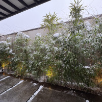 チャペルにつながる通路。