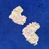 フラワーシャワーのところに戻ってきたらハートになっていて可愛