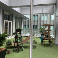 外からはテレビ塔が見えます