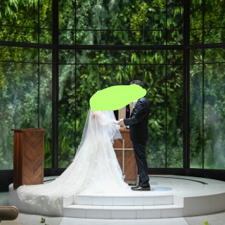 緑がバックで光の演出もあるのでとても綺麗でした。